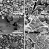 Raney Nickel Catalysts