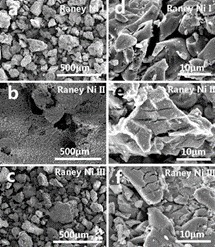 Raney Nickel Catalysts